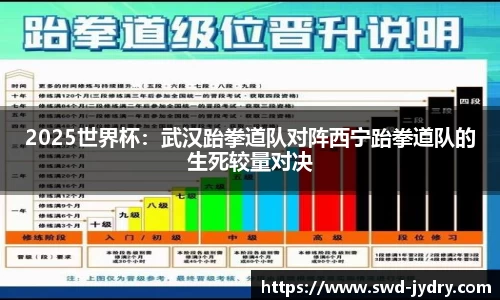 2025世界杯：武汉跆拳道队对阵西宁跆拳道队的生死较量对决